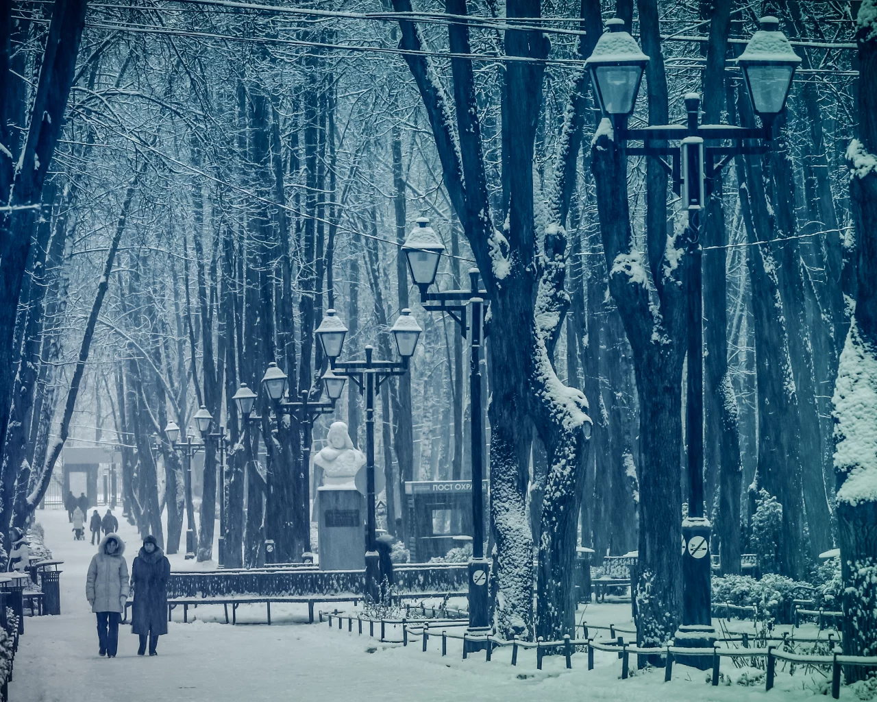 парк, снег, зима, Москва