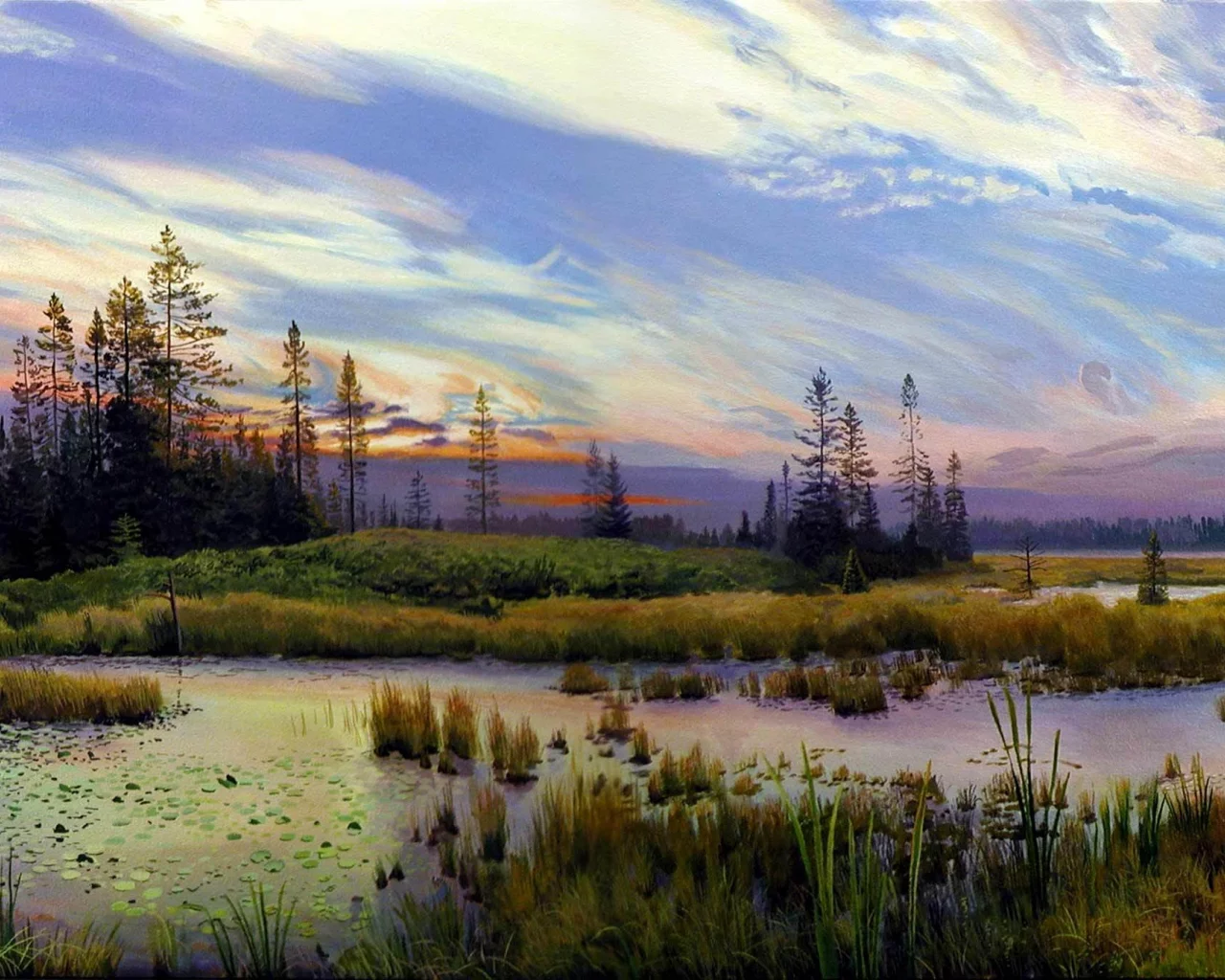 лес, деревья, трава, озеро, тростник, пейзаж, облака