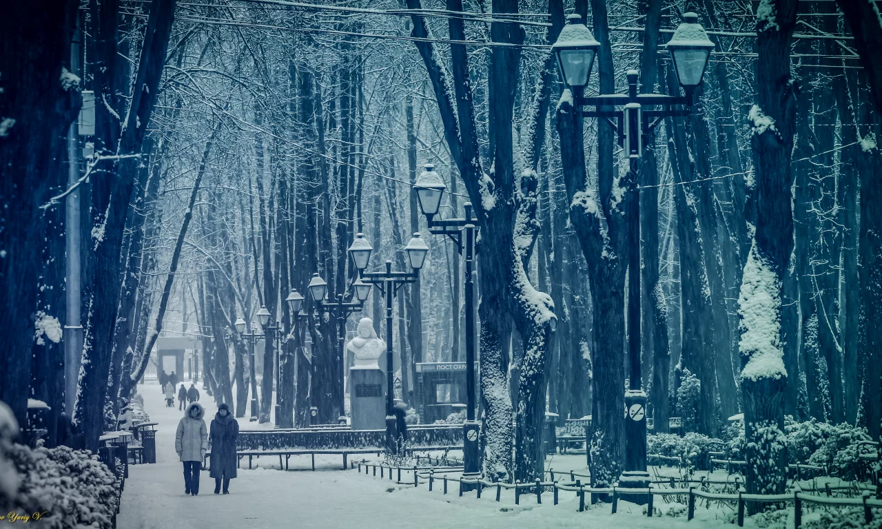 парк, снег, зима, Москва