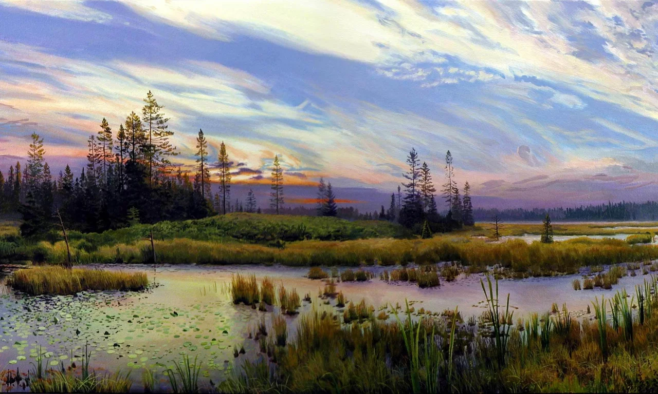 лес, деревья, трава, озеро, тростник, пейзаж, облака