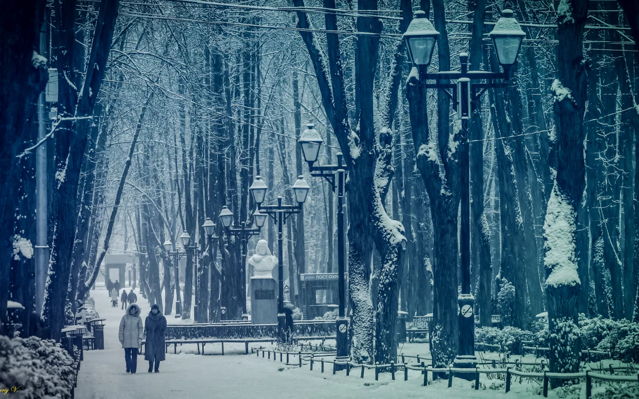 парк, снег, зима, Москва