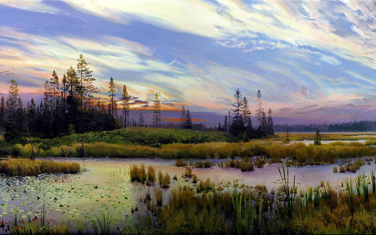 лес, деревья, трава, озеро, тростник, пейзаж, облака