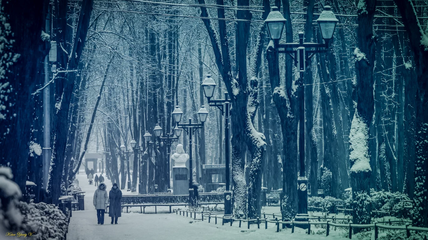 парк, снег, зима, Москва