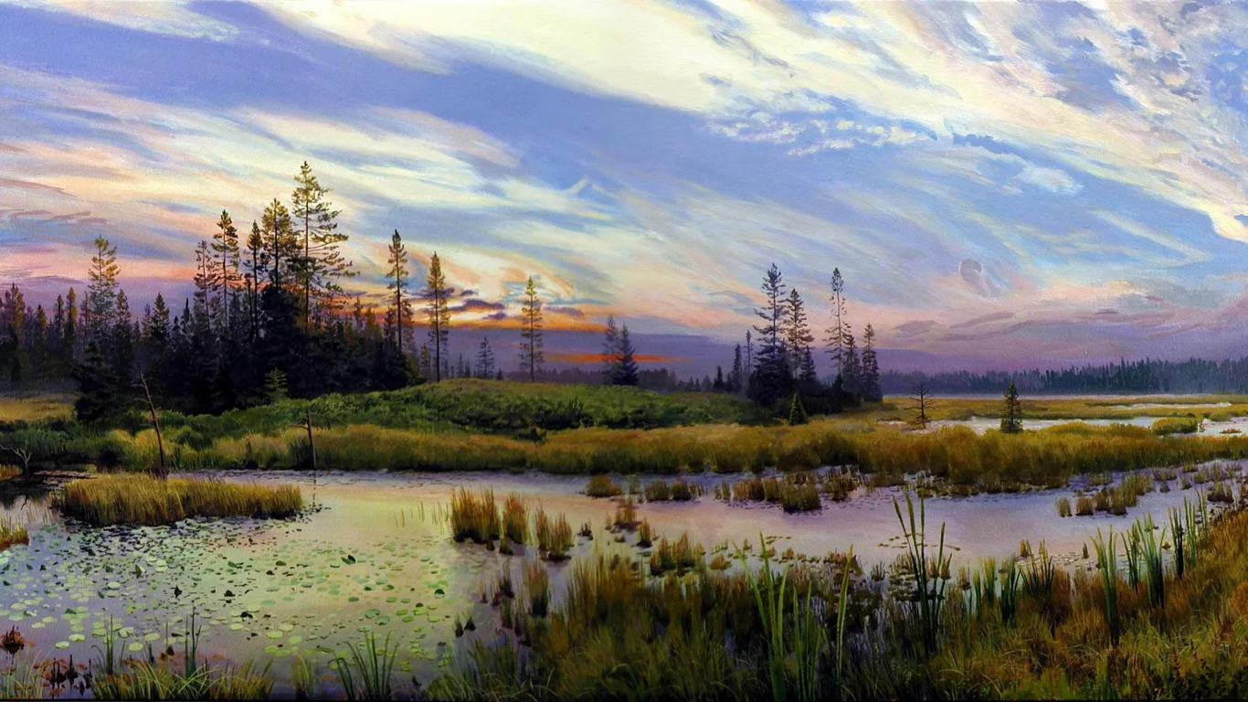 лес, деревья, трава, озеро, тростник, пейзаж, облака