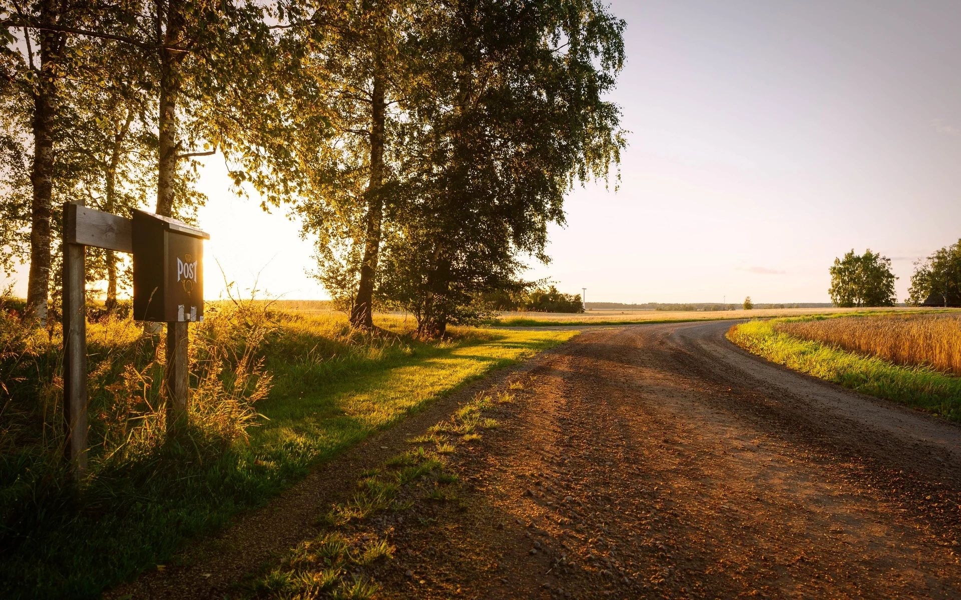 зелень, растительность, природа, листья, деревья