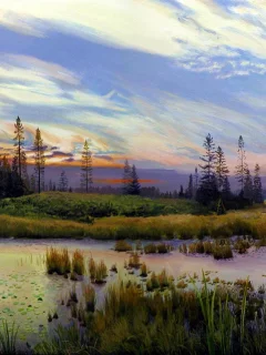 лес, деревья, трава, озеро, тростник, пейзаж, облака