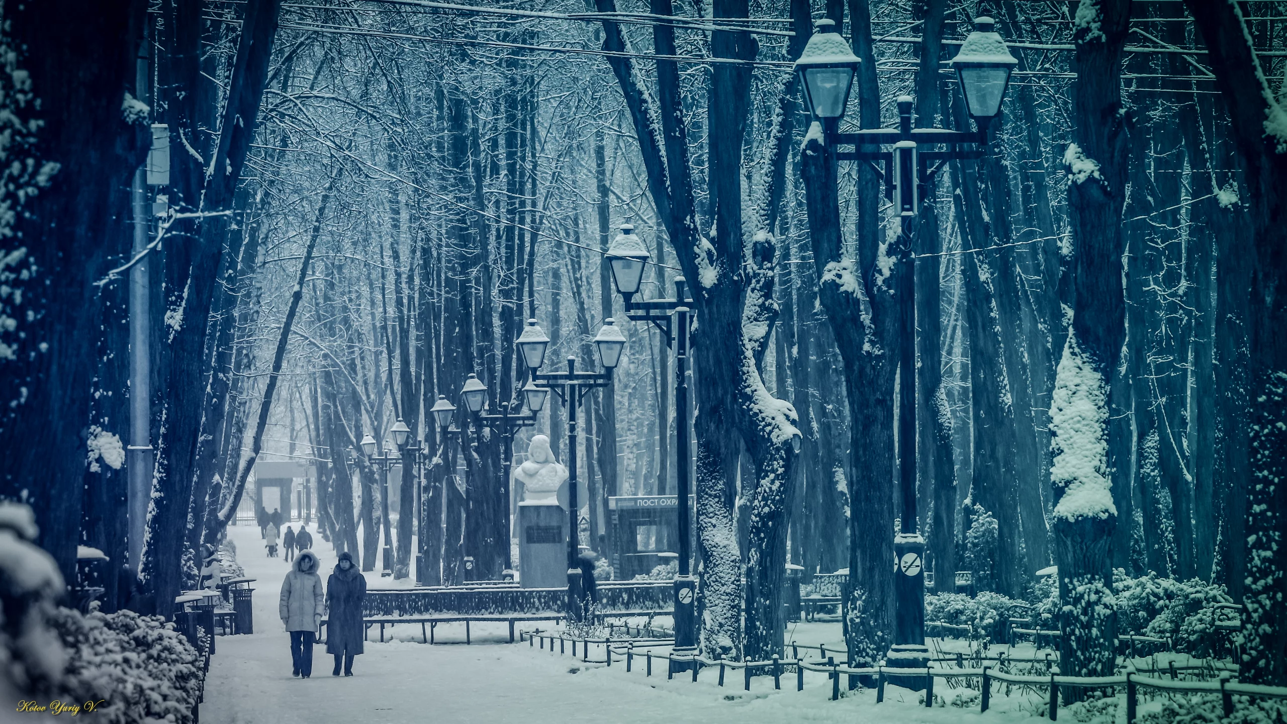 парк, снег, зима, Москва
