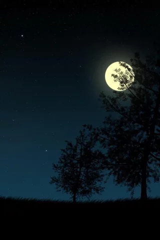 поле, дерево, ночь, луна, полнолуние, небо, безоблачно, силуэт, пейзаж, черный фон