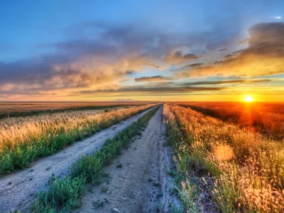 поле, зелень, пейзаж, природа, поля, растительность