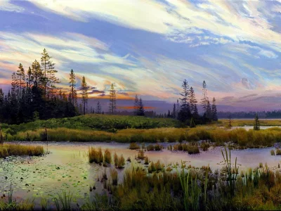 лес, деревья, трава, озеро, тростник, пейзаж, облака