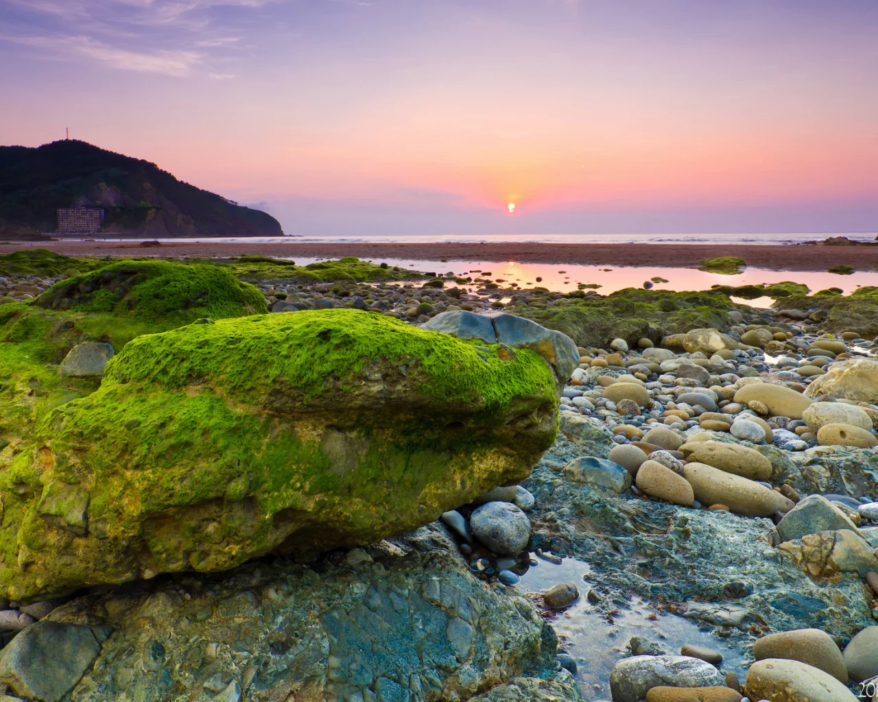 море, водоросли, камни, рассвет, утро, камень