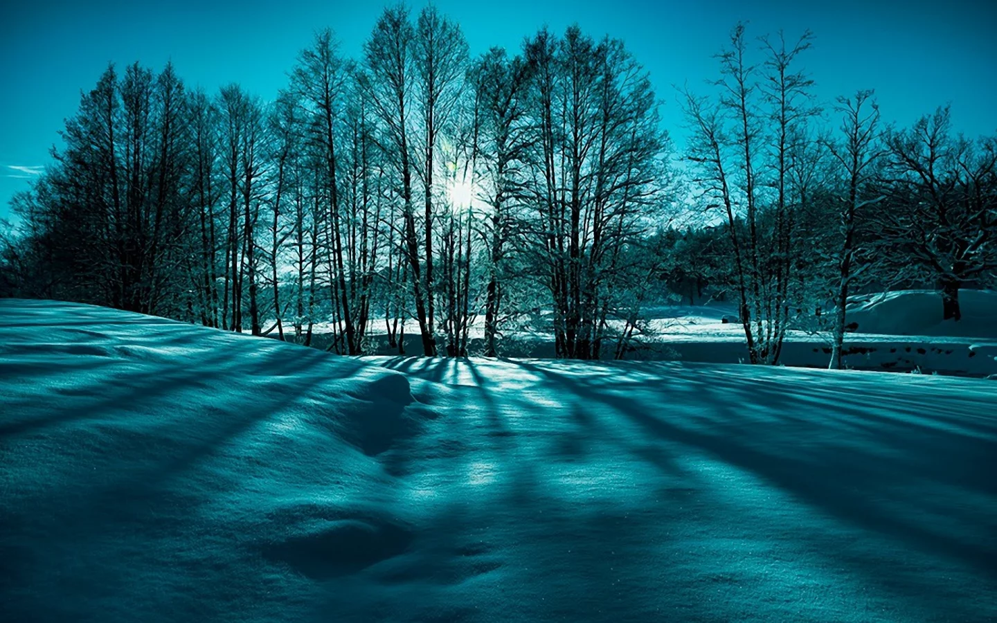 лучи, деревья, снег, зима, природа, солнце