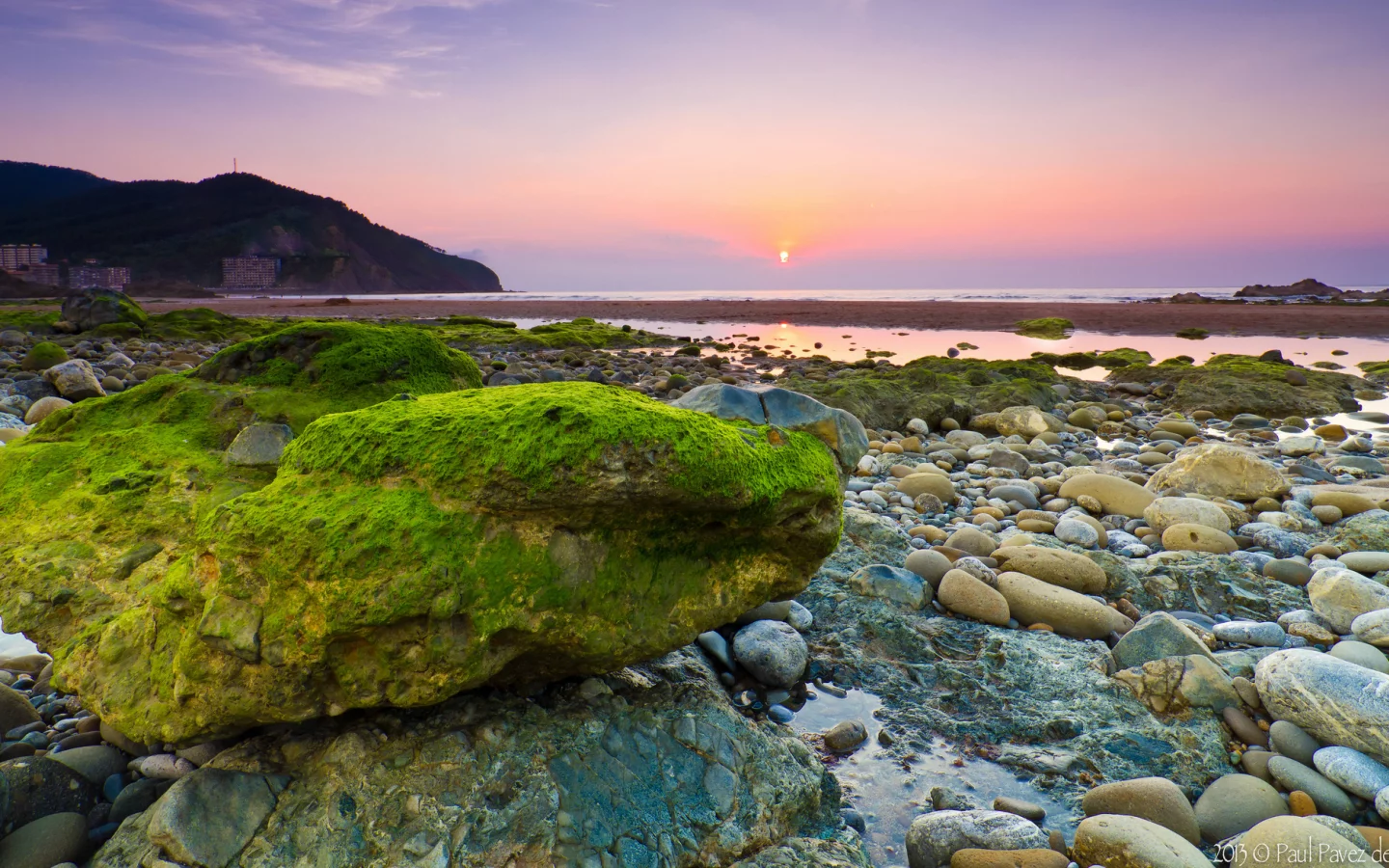 море, водоросли, камни, рассвет, утро, камень