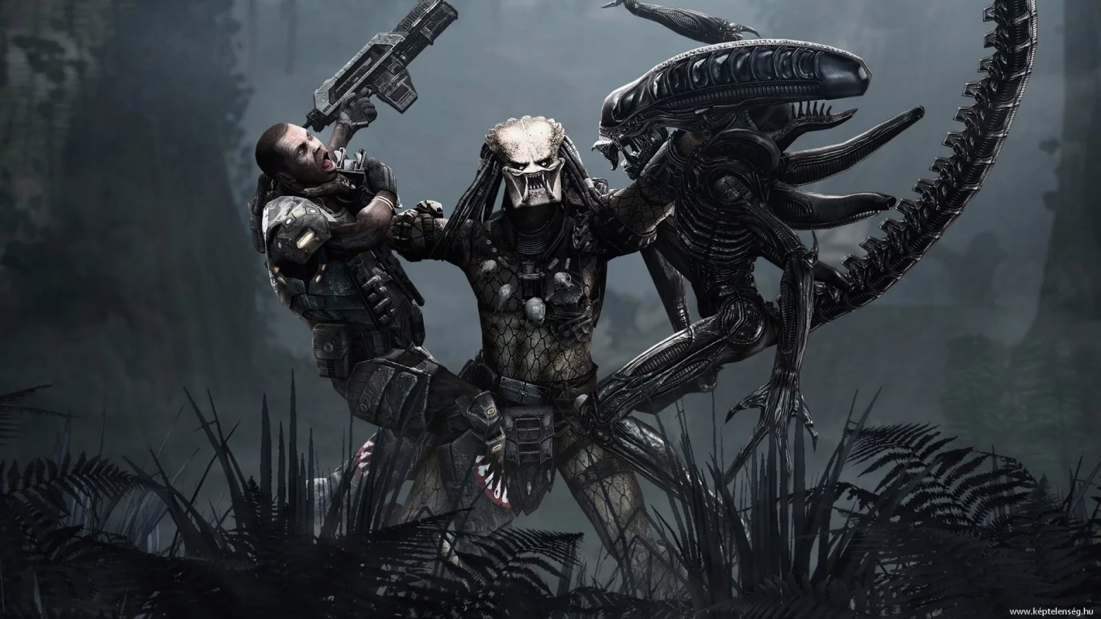 aliens vs predator, джунгли, хищник, marine, чужой
