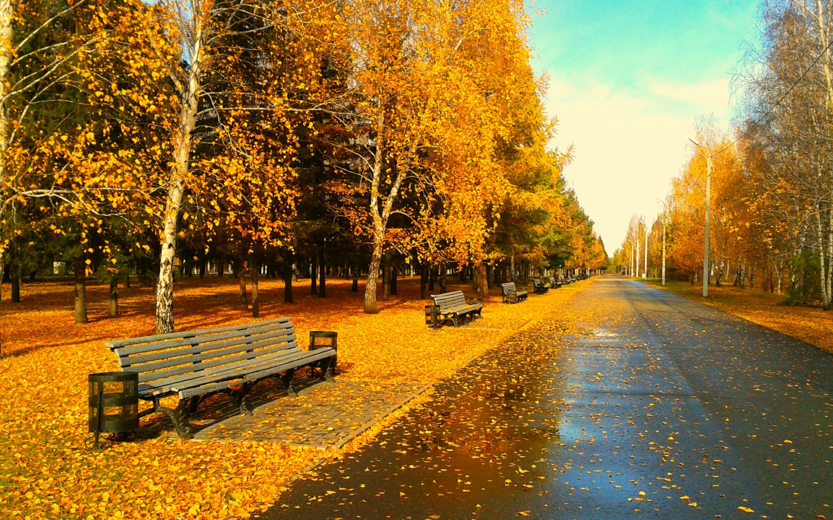 Картинки солнечный тюмень