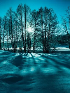 лучи, деревья, снег, зима, природа, солнце