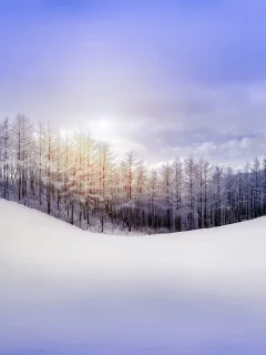 зима, природа, небо, холм, лес, снег