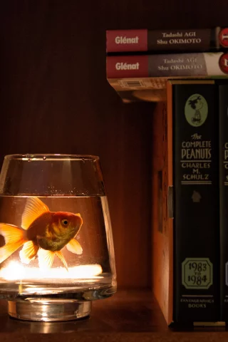 шкаф, книги, стакан, вода, рыбка
