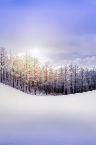 зима, природа, небо, холм, лес, снег
