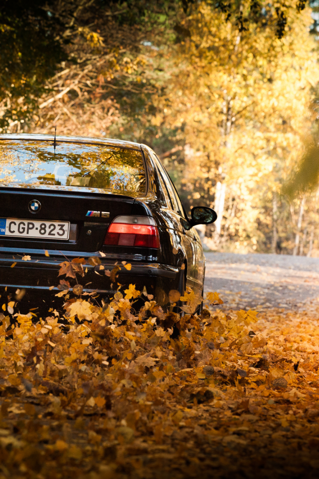 BMW e39 осень