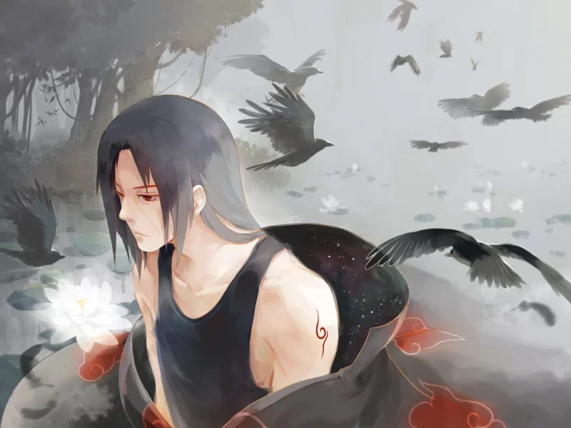 наруто, Naruto, Shippuden, учиха итачи