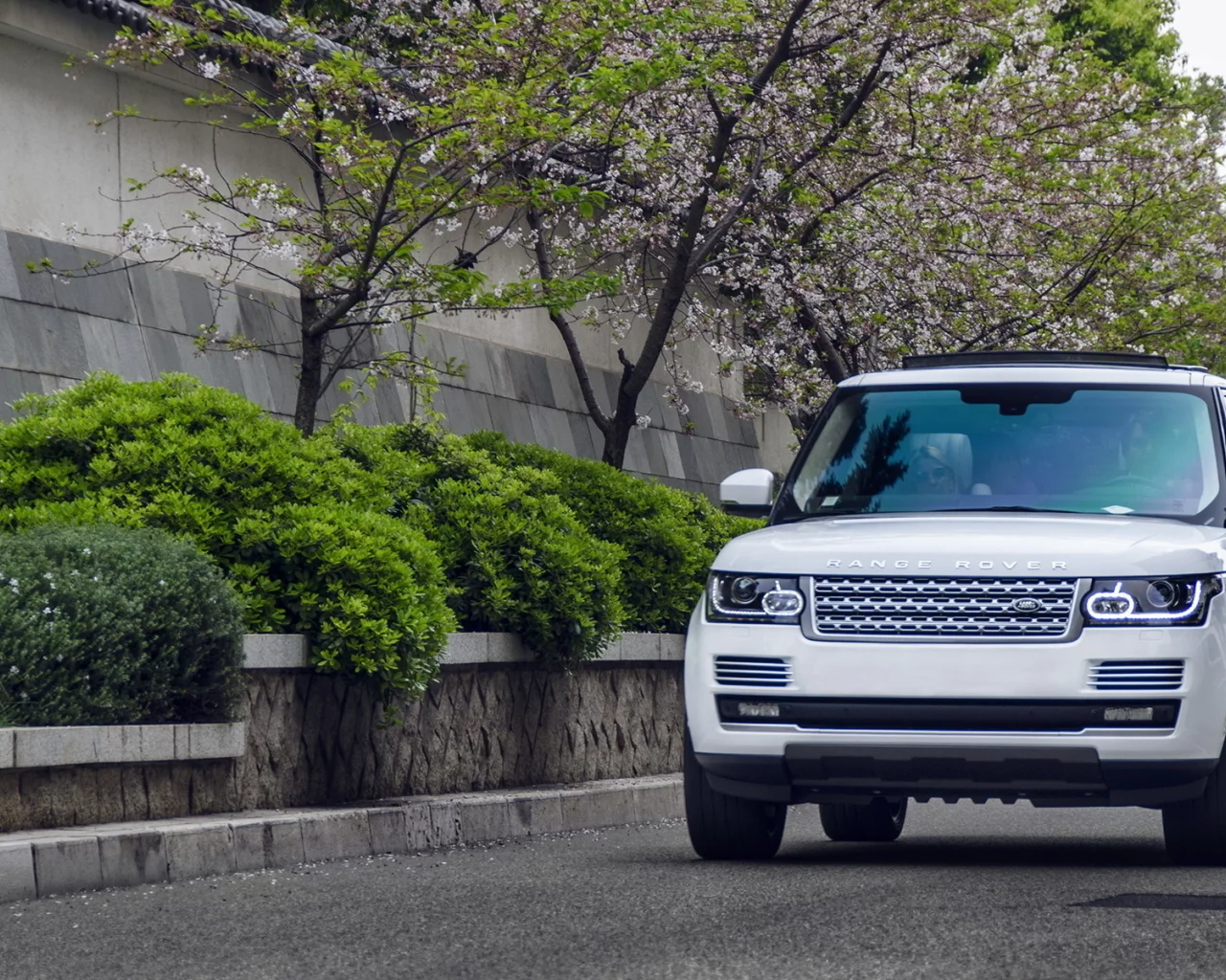 monaco, vogue, rover, white, range