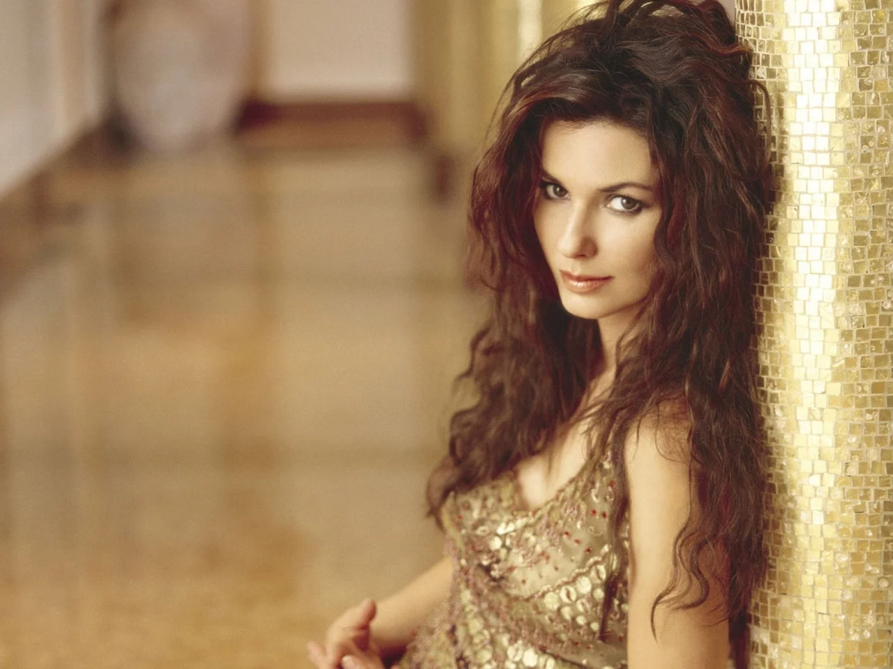 музыка, шатенка, девушка, волосы, певица, shania twain