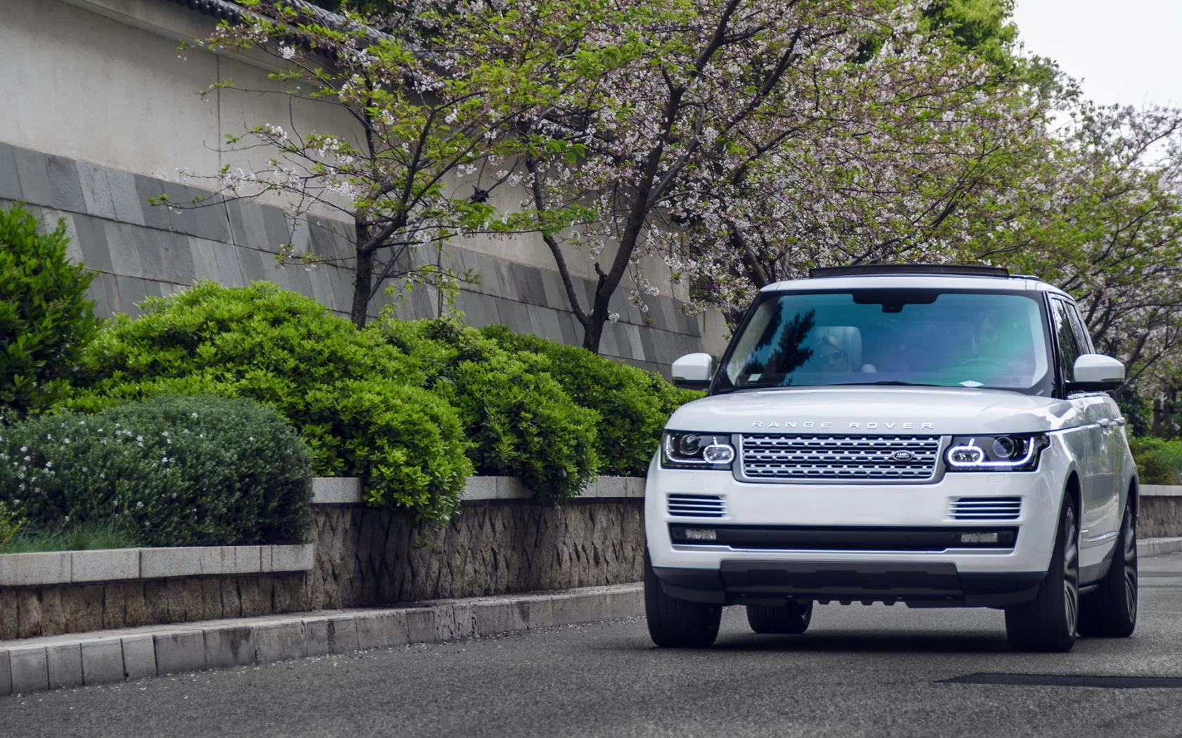 monaco, vogue, rover, white, range