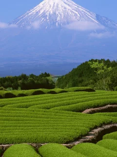 гора Фудзи, вулкан, Япония