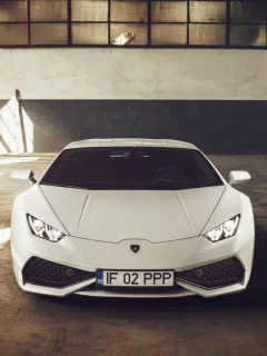 lamborghini, спорткар, белая