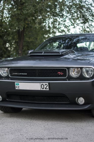 Dodge Challenger, almaty