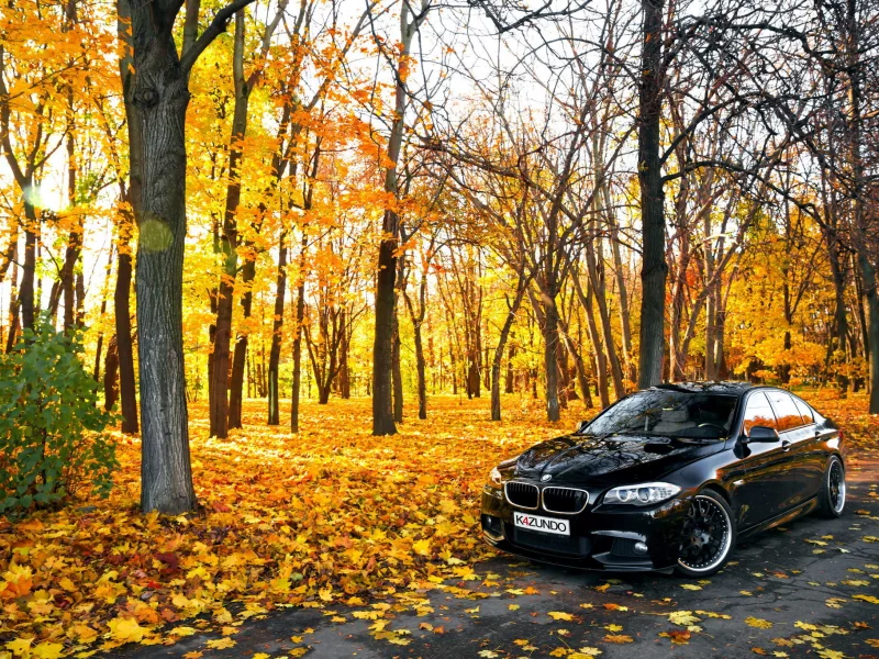 листья, bmw, осень, 550x, бмв, autumn, f10, черная
