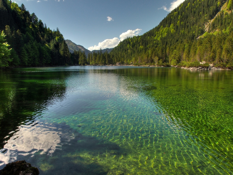 Фото возле озера