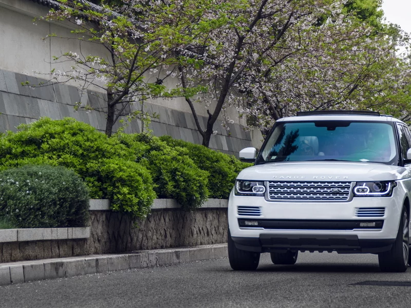 monaco, vogue, rover, white, range