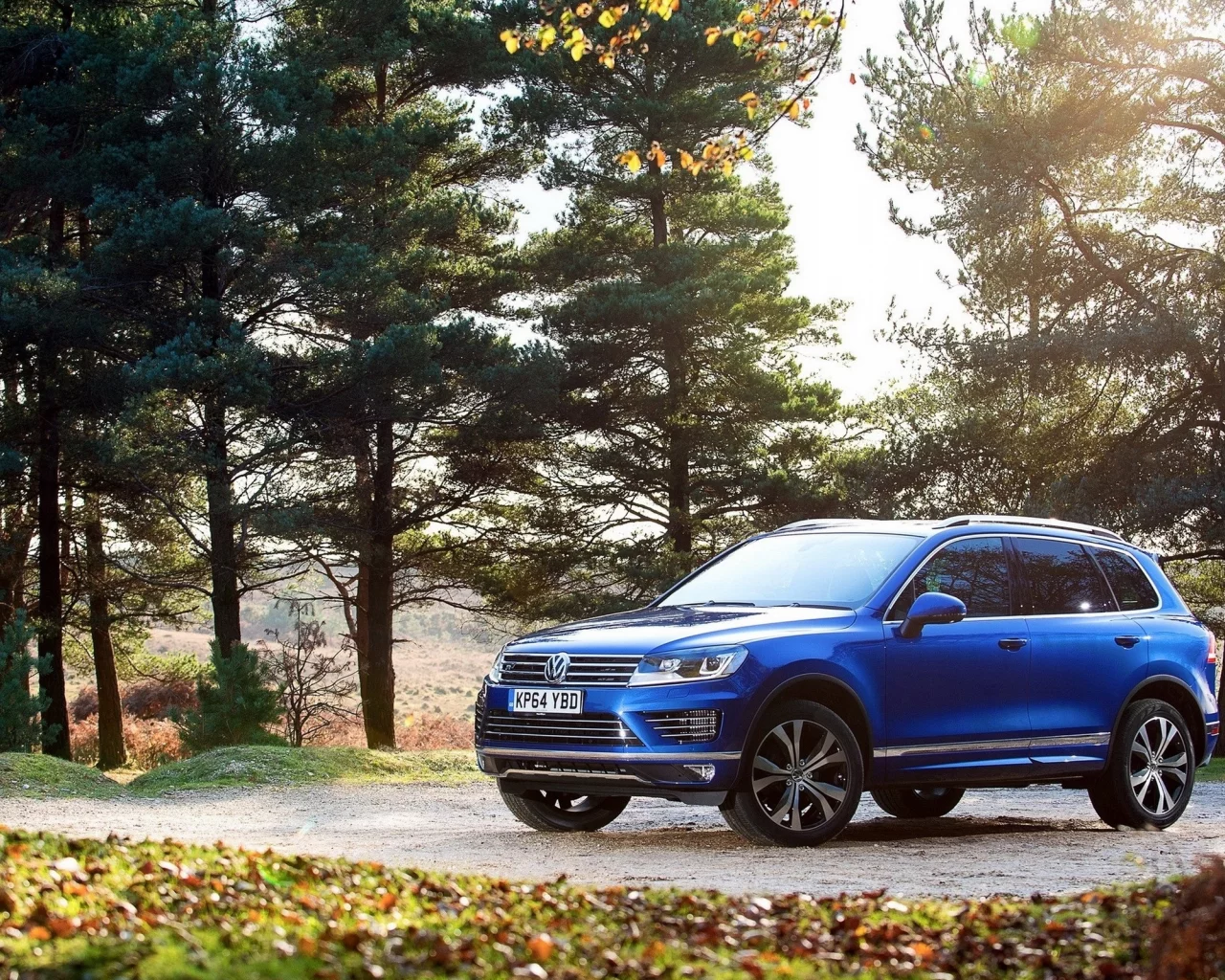 VW, Tуарег, синий. деревья