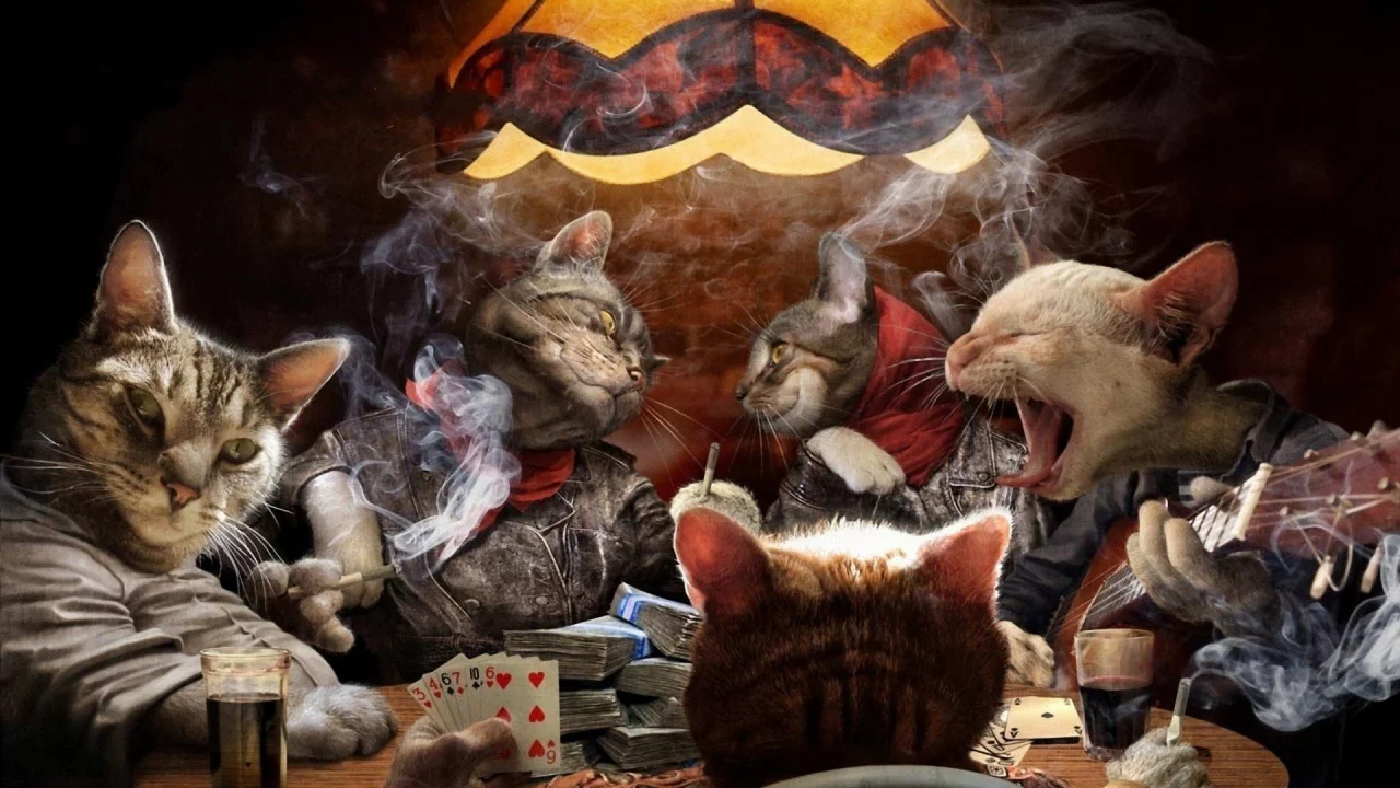 Мурка, прикол, банда, коты