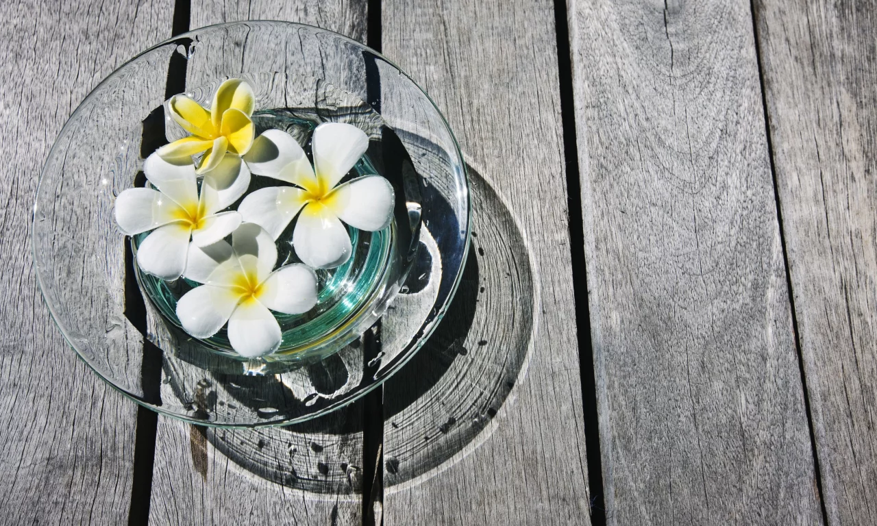 плюмерии, цветочки, плюмерия, цветы, франжипани