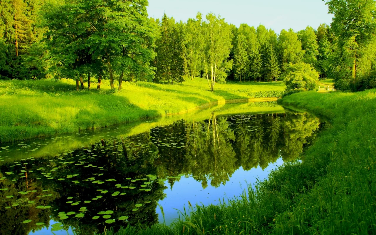 природа, деревья, зелень, река, отражения