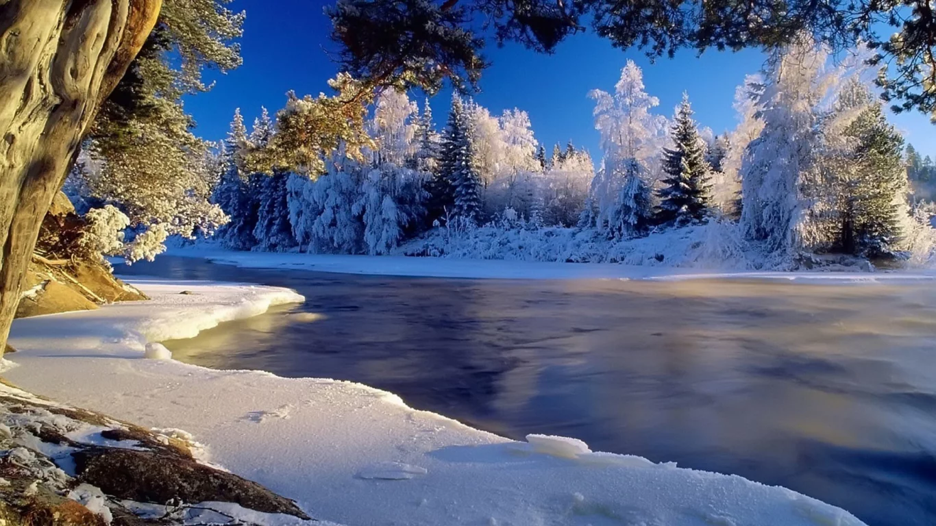 зима, снег, лед, деревья, вода, берег
