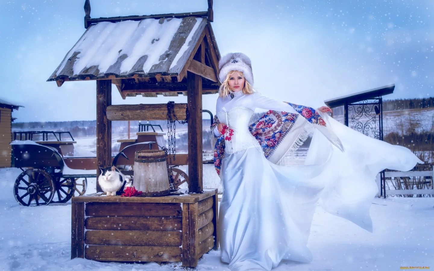 Девушка, красавица, зима, колодец.