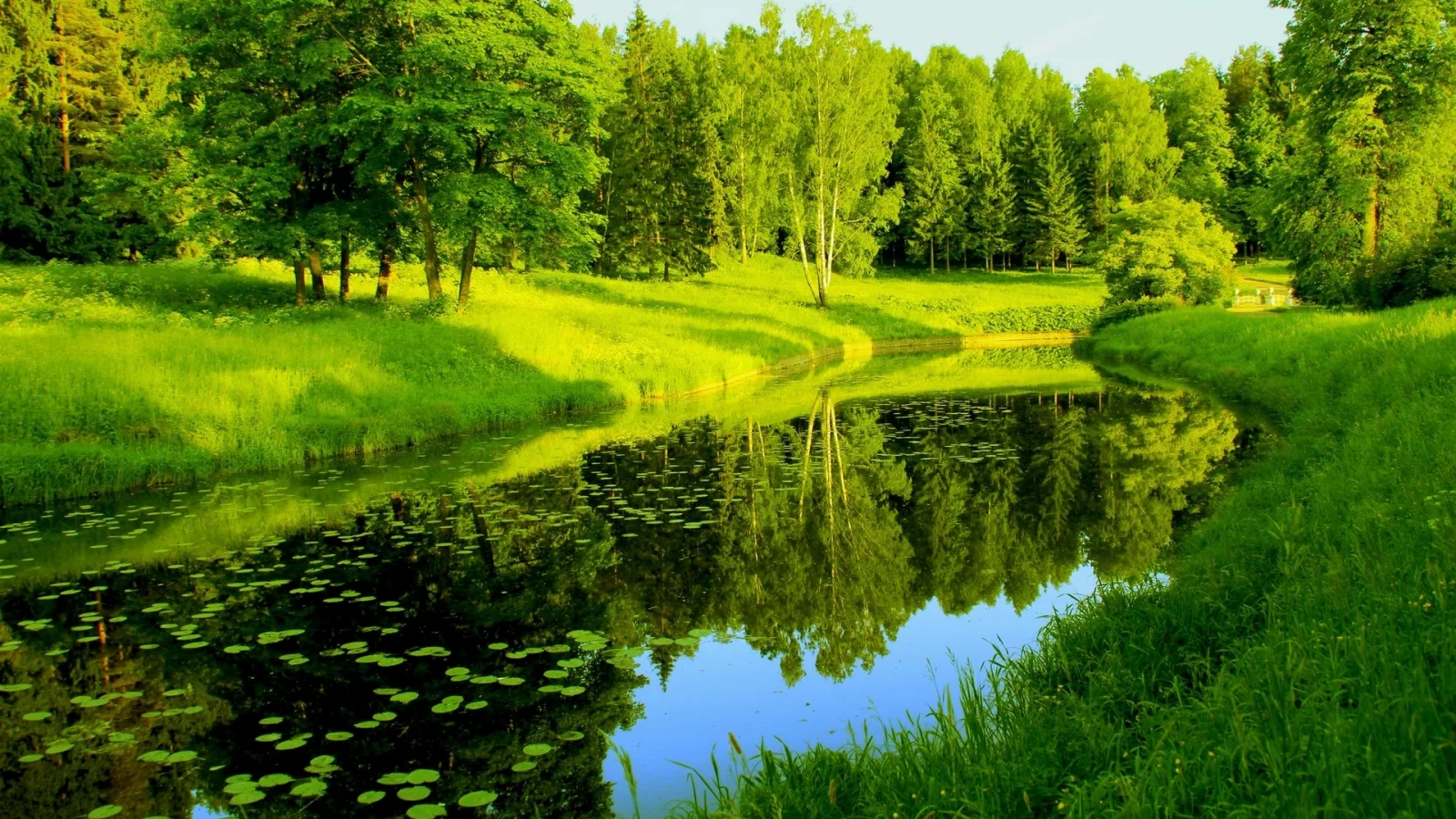 природа, деревья, зелень, река, отражения