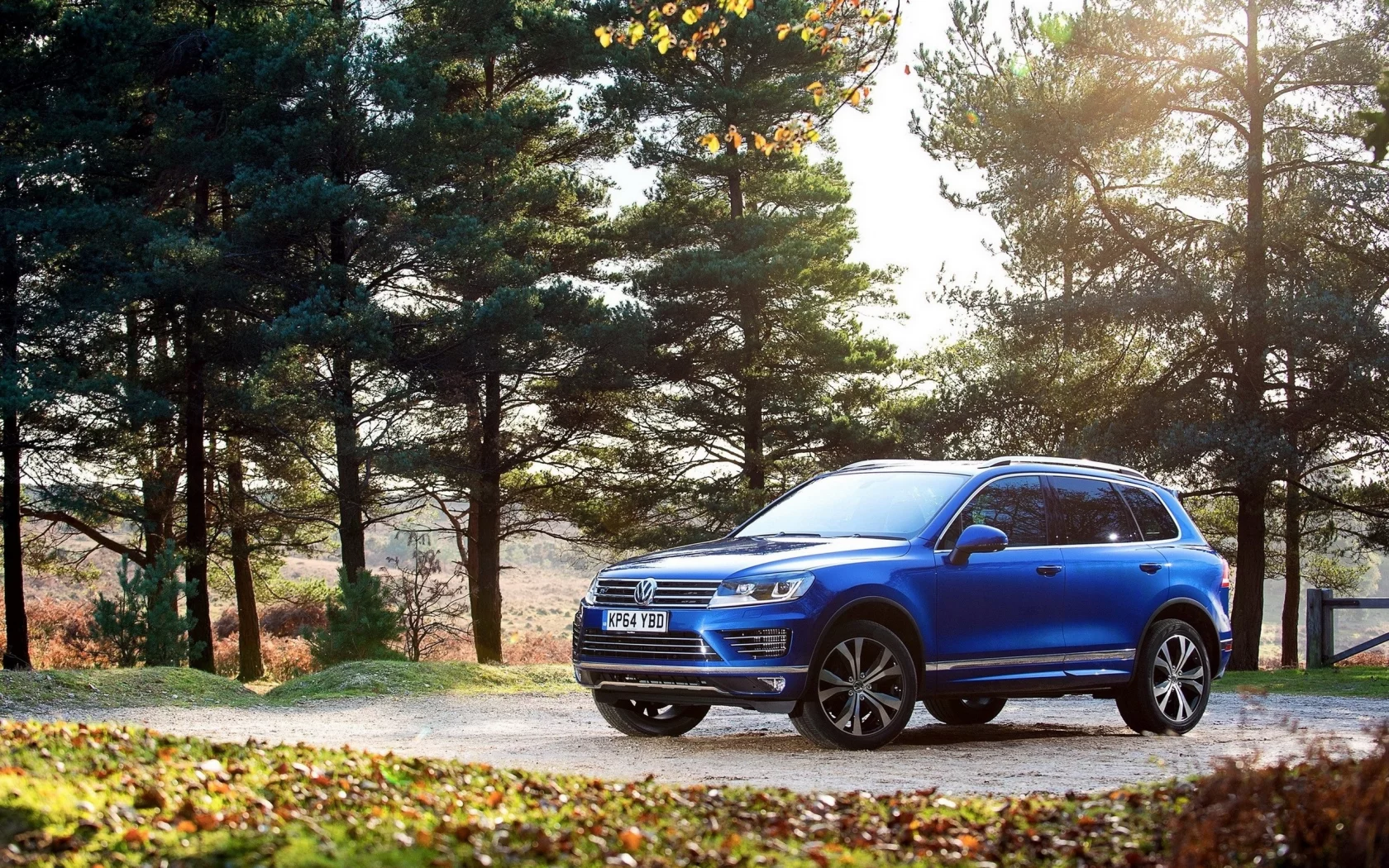 VW, Tуарег, синий. деревья