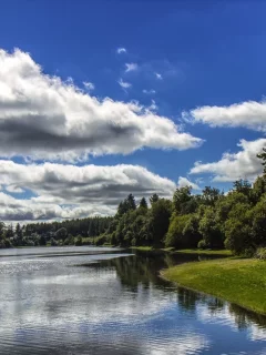 природа, реки, озера, лес, река, трава, облака