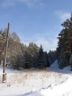 зима, лес, снег, дорога, столб