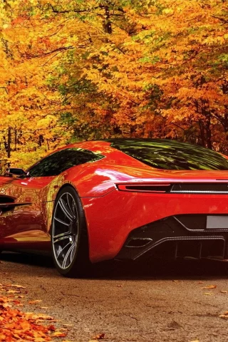 Aston Martin DBC, дорога, листва