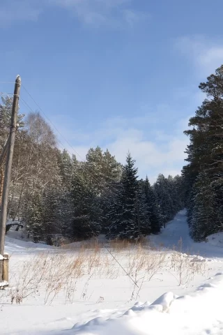 зима, лес, снег, дорога, столб