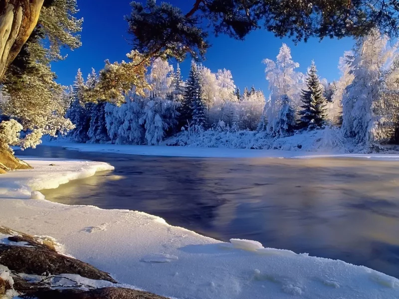 зима, снег, лед, деревья, вода, берег