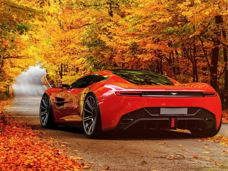 Aston Martin DBC, дорога, листва
