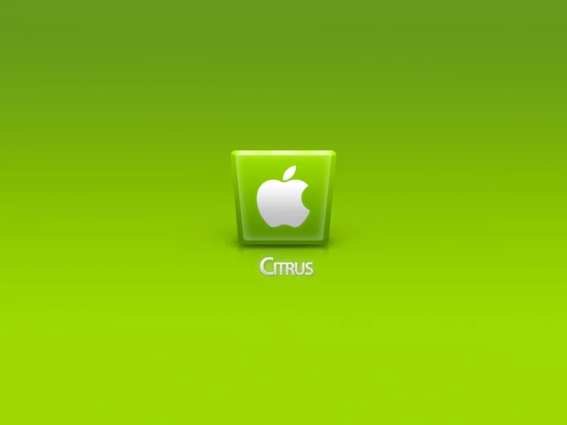 компьютер, телефон, apple, ноутбук, citrus, гаджет