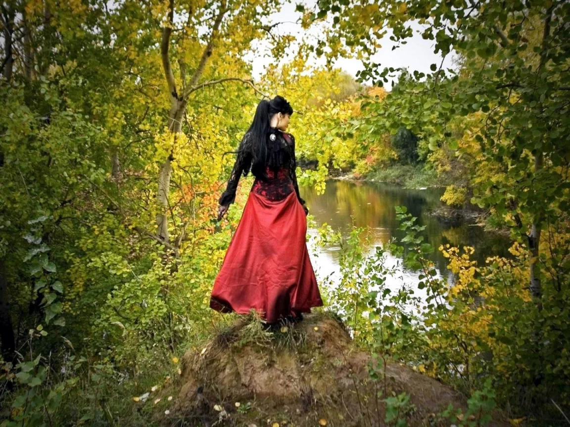 лес, кочка, вода